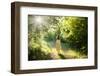 Walking Fairy-PetarPaunchev-Framed Photographic Print