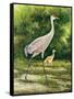 Walking From A Distance-Bruce Nawrocke-Framed Stretched Canvas