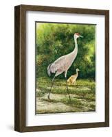 Walking From A Distance-Bruce Nawrocke-Framed Art Print