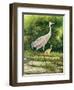 Walking From A Distance-Bruce Nawrocke-Framed Art Print