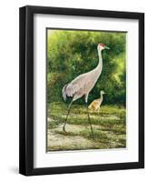 Walking From A Distance-Bruce Nawrocke-Framed Art Print