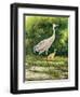 Walking From A Distance-Bruce Nawrocke-Framed Art Print