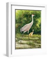 Walking From A Distance-Bruce Nawrocke-Framed Art Print