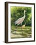 Walking From A Distance-Bruce Nawrocke-Framed Art Print