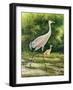 Walking From A Distance-Bruce Nawrocke-Framed Art Print