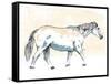 Walking Horse Blue-OnRei-Framed Stretched Canvas