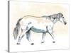 Walking Horse Blue-OnRei-Stretched Canvas