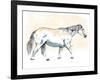 Walking Horse Blue-OnRei-Framed Art Print