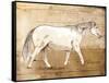 Walking Horse-OnRei-Framed Stretched Canvas