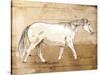 Walking Horse-OnRei-Stretched Canvas