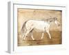 Walking Horse-OnRei-Framed Art Print