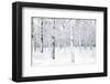 Walking in a Winter-Parker Greenfield-Framed Art Print