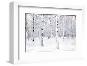 Walking in a Winter-Parker Greenfield-Framed Art Print