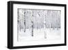 Walking in a Winter-Parker Greenfield-Framed Art Print