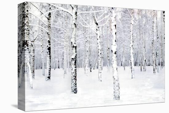 Walking in a Winter-Parker Greenfield-Stretched Canvas