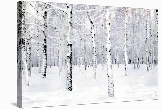 Walking in a Winter-Parker Greenfield-Stretched Canvas