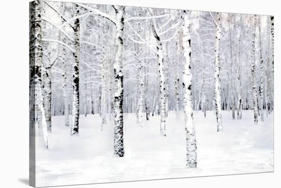 Walking in a Winter-Parker Greenfield-Stretched Canvas