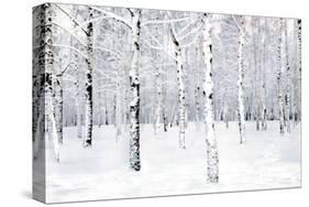 Walking in a Winter-Parker Greenfield-Stretched Canvas