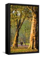 Walking in an Autumnal Hyde Park, London, England, United Kingdom, Europe-Neil Farrin-Framed Stretched Canvas