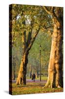 Walking in an Autumnal Hyde Park, London, England, United Kingdom, Europe-Neil Farrin-Stretched Canvas