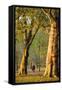 Walking in an Autumnal Hyde Park, London, England, United Kingdom, Europe-Neil Farrin-Framed Stretched Canvas