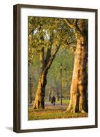 Walking in an Autumnal Hyde Park, London, England, United Kingdom, Europe-Neil Farrin-Framed Photographic Print