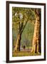 Walking in an Autumnal Hyde Park, London, England, United Kingdom, Europe-Neil Farrin-Framed Photographic Print