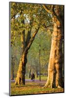Walking in an Autumnal Hyde Park, London, England, United Kingdom, Europe-Neil Farrin-Mounted Photographic Print