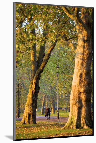 Walking in an Autumnal Hyde Park, London, England, United Kingdom, Europe-Neil Farrin-Mounted Photographic Print