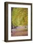 Walking in an Autumnal Hyde Park, London, England, United Kingdom, Europe-Neil Farrin-Framed Photographic Print