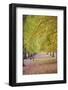 Walking in an Autumnal Hyde Park, London, England, United Kingdom, Europe-Neil Farrin-Framed Photographic Print