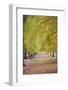 Walking in an Autumnal Hyde Park, London, England, United Kingdom, Europe-Neil Farrin-Framed Photographic Print