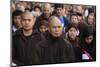 Walking meditation led by Thich Nhat Hanh, France-Godong-Mounted Photographic Print