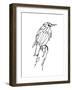 Walking Murmuration-Hanna Lee Tidd-Framed Giclee Print