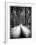 Walking on a Path in Central Park in Winter-Philippe Hugonnard-Framed Photographic Print