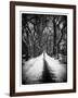 Walking on a Path in Central Park in Winter-Philippe Hugonnard-Framed Photographic Print