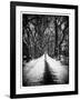 Walking on a Path in Central Park in Winter-Philippe Hugonnard-Framed Photographic Print