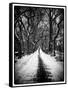 Walking on a Path in Central Park in Winter-Philippe Hugonnard-Framed Stretched Canvas