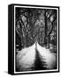 Walking on a Path in Central Park in Winter-Philippe Hugonnard-Framed Stretched Canvas