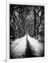Walking on a Path in Central Park in Winter-Philippe Hugonnard-Framed Photographic Print