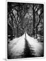 Walking on a Path in Central Park in Winter-Philippe Hugonnard-Mounted Photographic Print