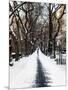 Walking on a Path in Central Park in Winter-Philippe Hugonnard-Mounted Photographic Print