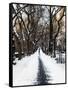 Walking on a Path in Central Park in Winter-Philippe Hugonnard-Framed Stretched Canvas