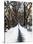 Walking on a Path in Central Park in Winter-Philippe Hugonnard-Stretched Canvas