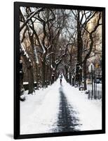 Walking on a Path in Central Park in Winter-Philippe Hugonnard-Framed Photographic Print