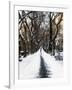 Walking on a Path in Central Park in Winter-Philippe Hugonnard-Framed Photographic Print