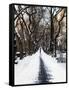 Walking on a Path in Central Park in Winter-Philippe Hugonnard-Framed Stretched Canvas