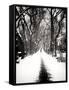 Walking on a Path in Central Park in Winter-Philippe Hugonnard-Framed Stretched Canvas