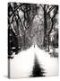Walking on a Path in Central Park in Winter-Philippe Hugonnard-Stretched Canvas
