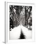 Walking on a Path in Central Park in Winter-Philippe Hugonnard-Framed Photographic Print